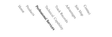 Professional Services